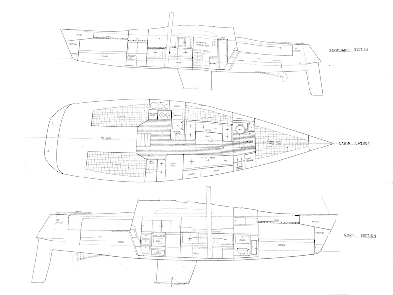 WHITING 36 - Drawing