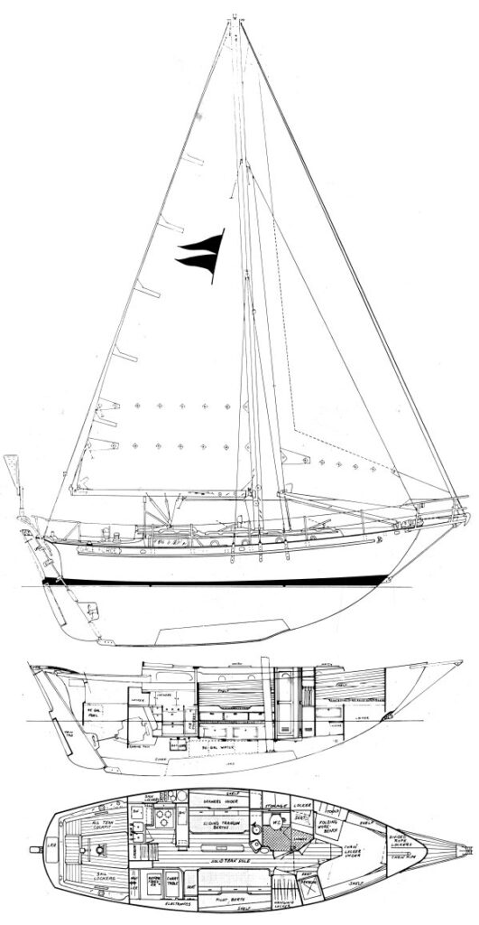 GALE FORCE - Drawing