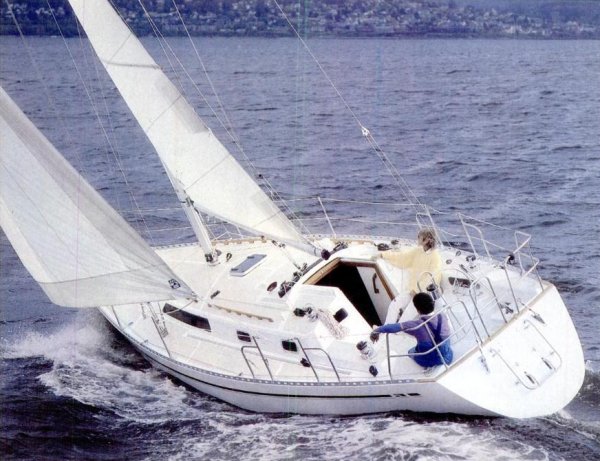 NORDIC 34 - Photo