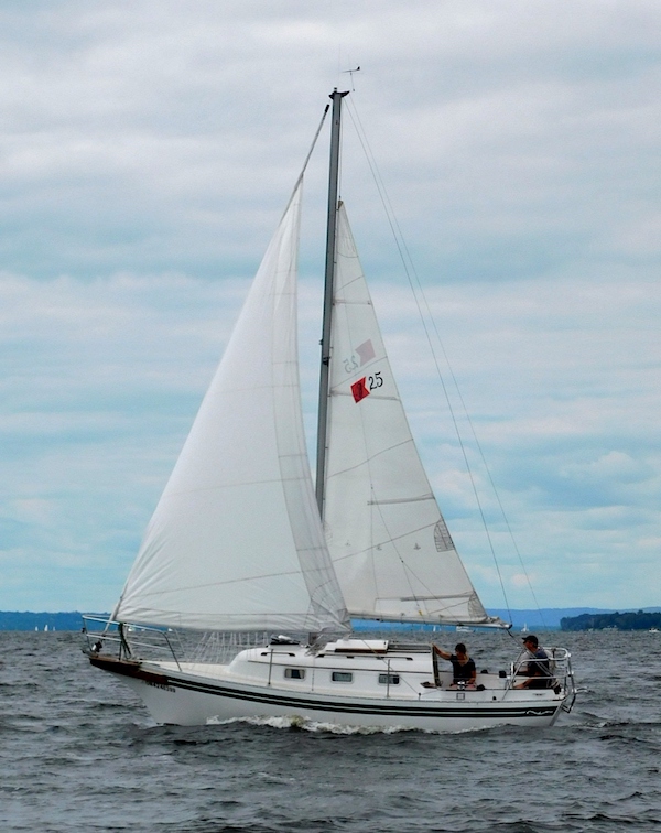 BAYFIELD 25