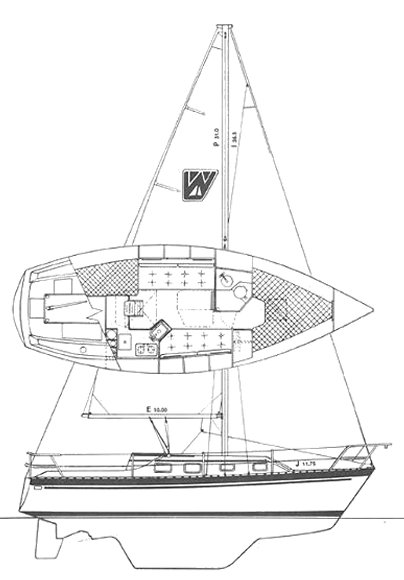 WATKINS 29 - Drawing