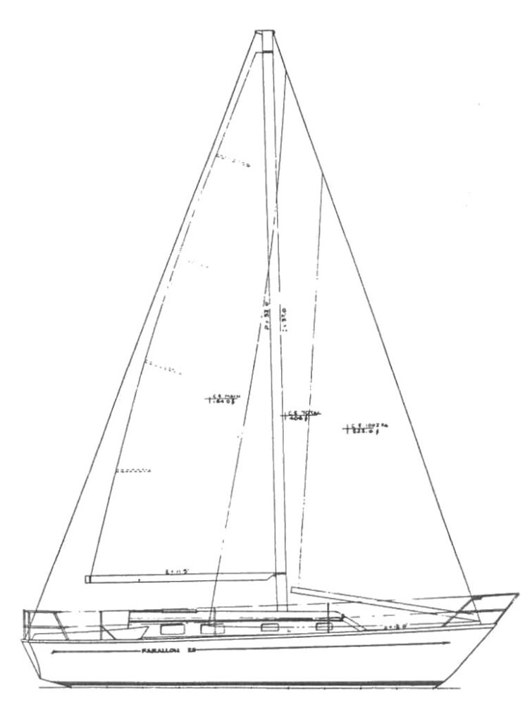 FARALLON 29 - Drawing
