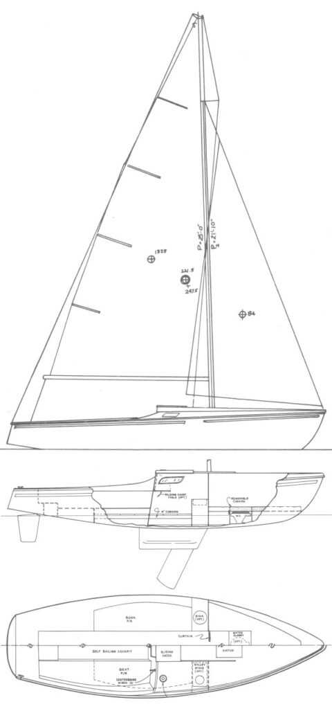 MUSTANG 22 - Drawing