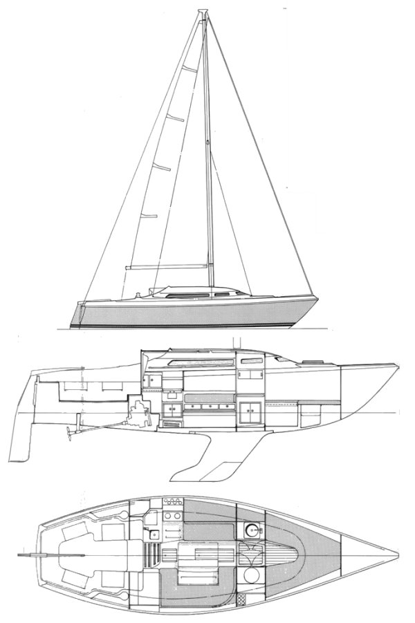 NICHOLSON 30 MKII - Drawing