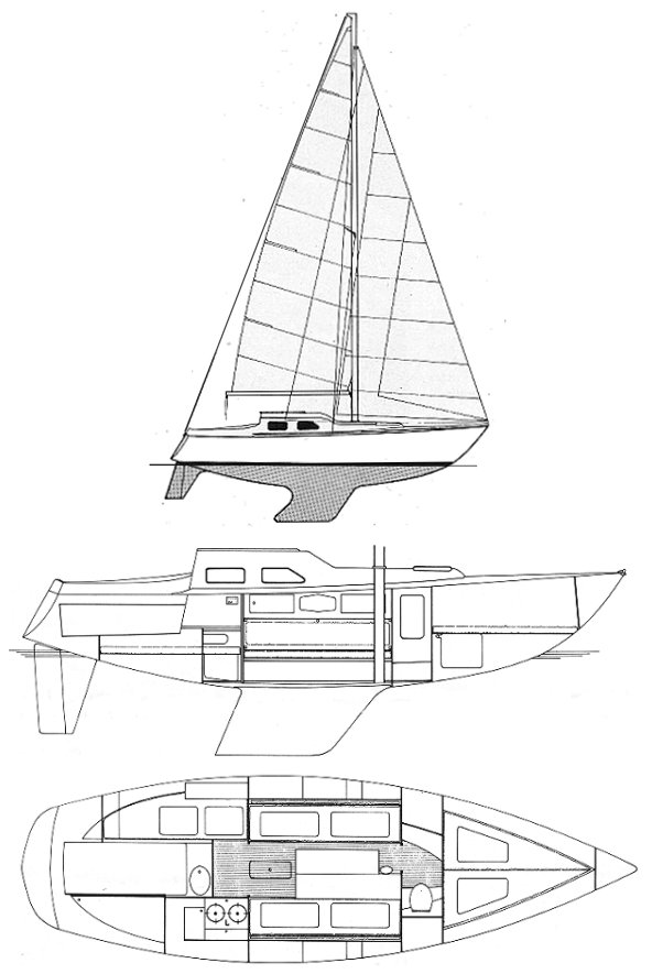 POLARIS DRABANT - Drawing