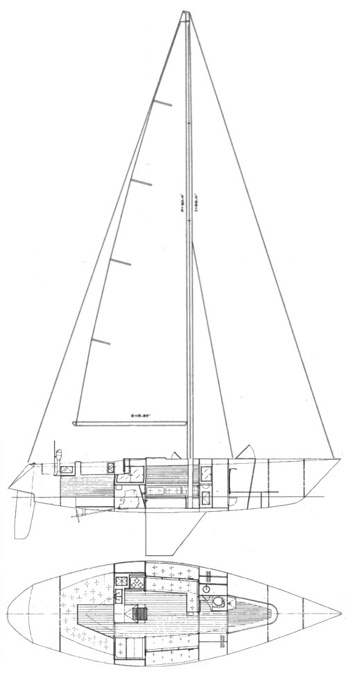 SERENDIPITY 43 - Drawing