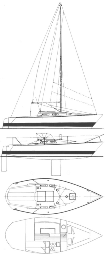 EVOLUTION 26 - Drawing