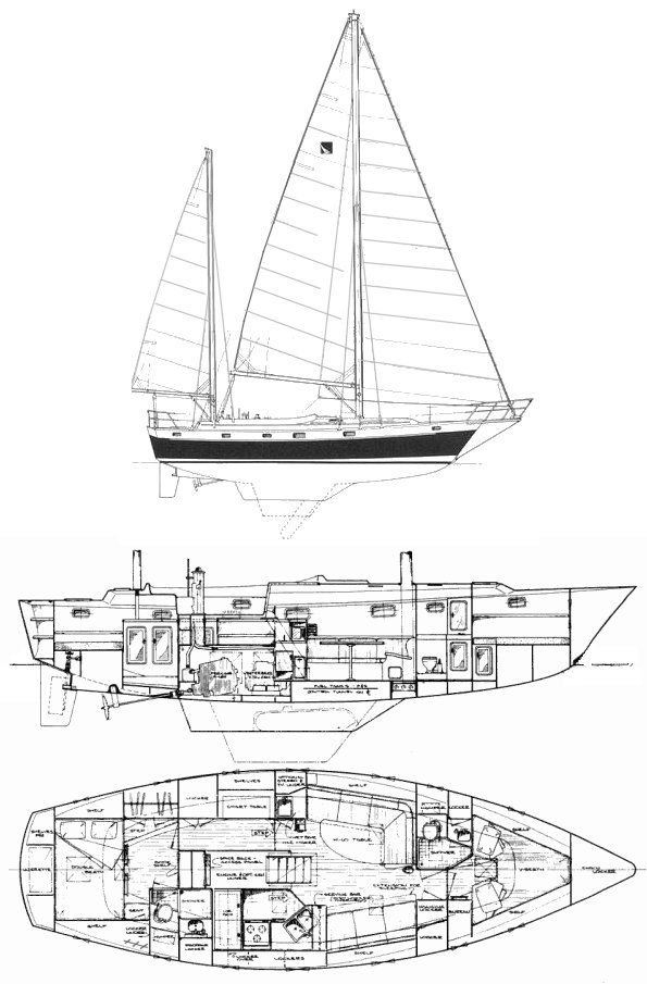 IRWIN 41 - Drawing