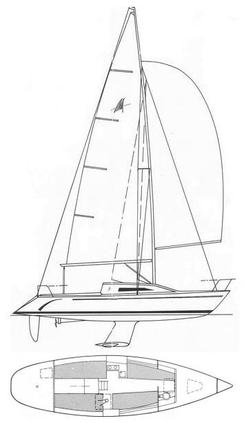 MUSTANG 30 - Drawing