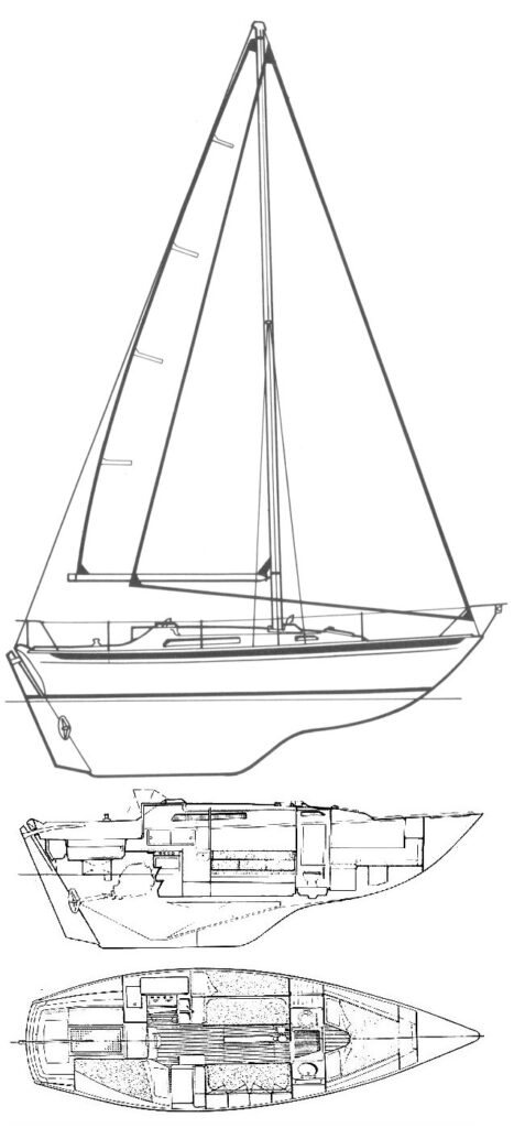 NICHOLSON 31 - Drawing