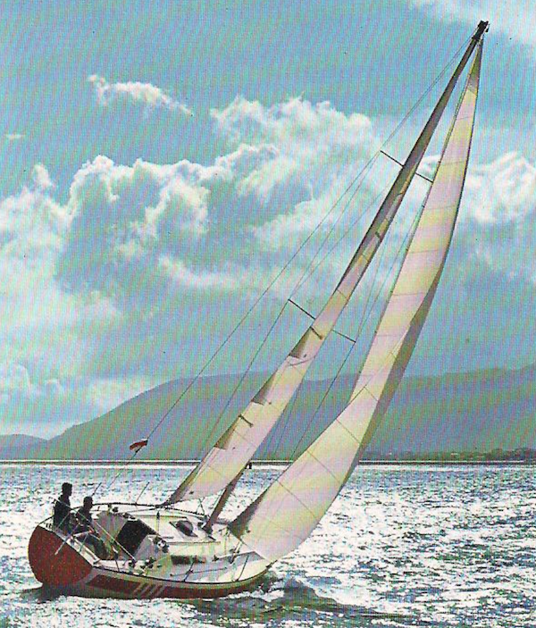 PANDA 34 - Photo