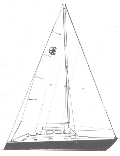 POLYNESIAN CONCEPT - Drawing