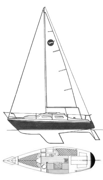 PUMA 23 - Drawing