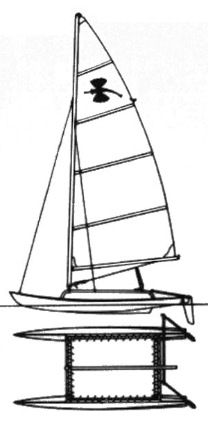 SEA MOTH II - Drawing