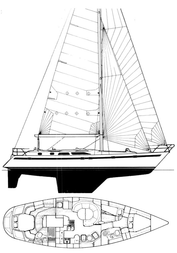 TASWELL 49 - Drawing