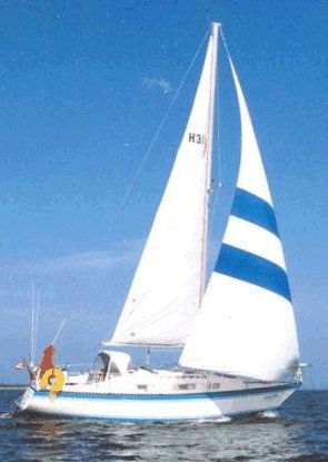 HUGHES 31 - Photo
