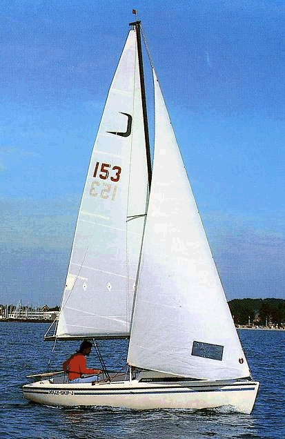 JOLLY SKIP JOLLE - Photo