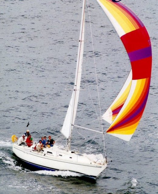 PEARSON 36-2 - Photo