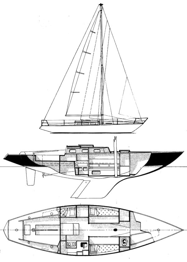 TINA (CARTER) - Drawing