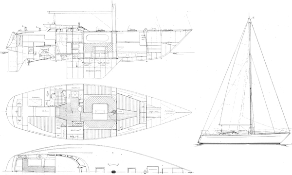 GLACER 44 TRANSOCEAN - Drawing