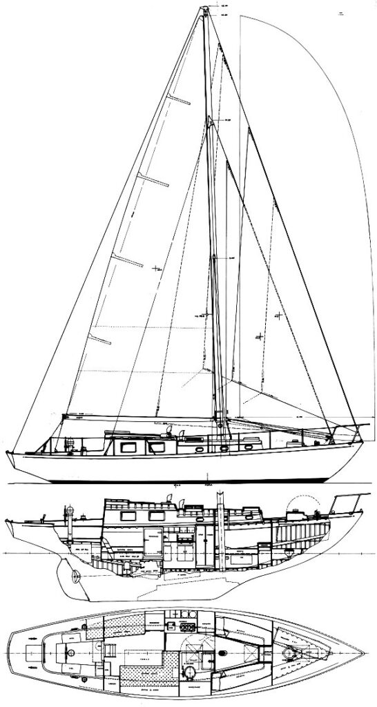 HISPANIOLA 38 - Drawing