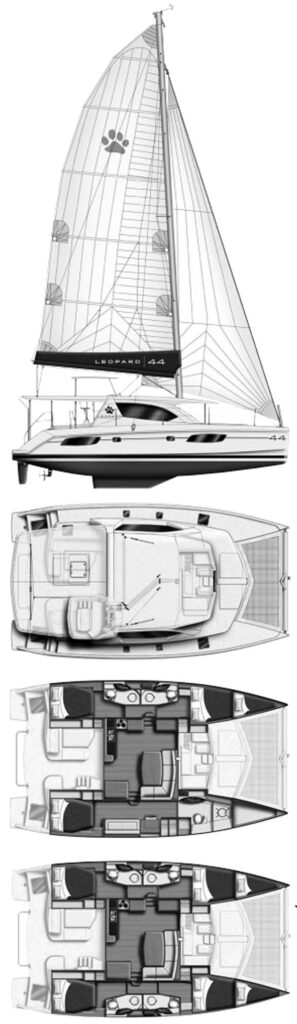 LEOPARD 44 - Drawing