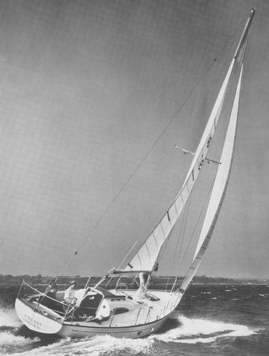 MEDALIST 33 MKI (LE COMTE) - Photo