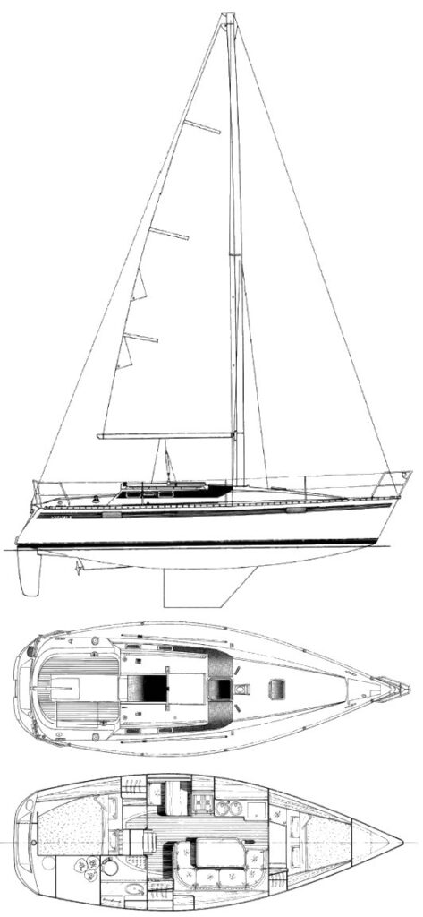 OCEANIS 320 (BENETEAU) - Drawing