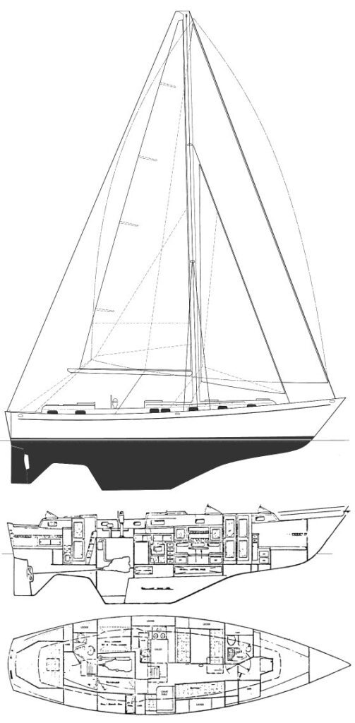 KELLY-PETERSON 44 - Drawing