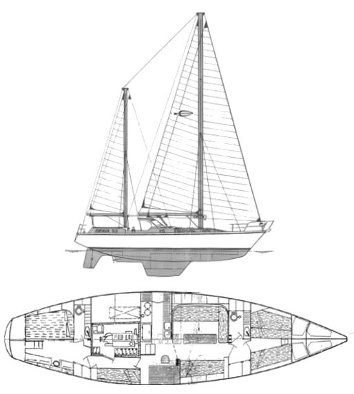 MANGO 52 (AMEL) - Drawing