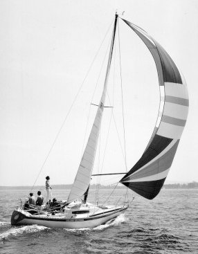 NICHOLSON 33 3/4 TON - Photo