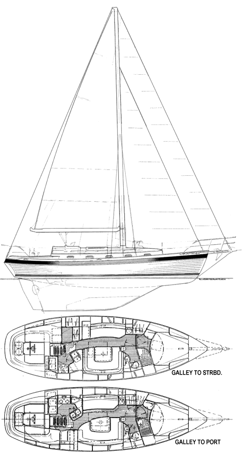 PANDA 38 - Drawing