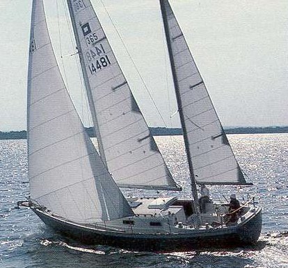 PEARSON 365 - Photo