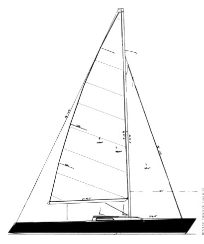 WYLIE WABBIT 24 - Drawing