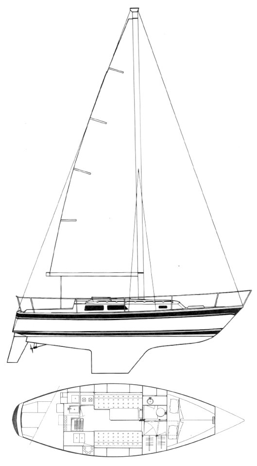 CAL 31 - Drawing