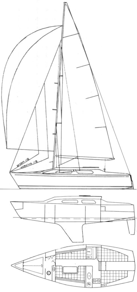 CARPENTER 29 - Drawing