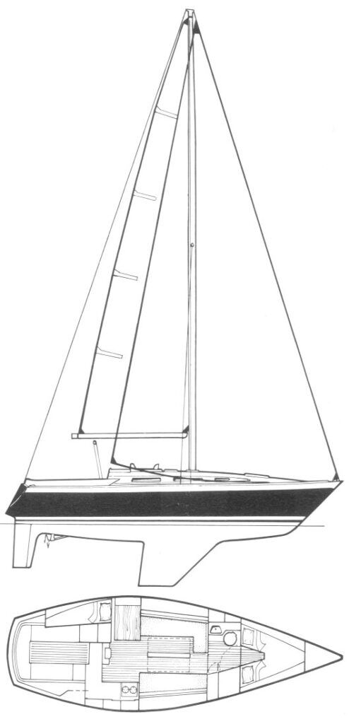 GLADIATEUR 33 - Drawing