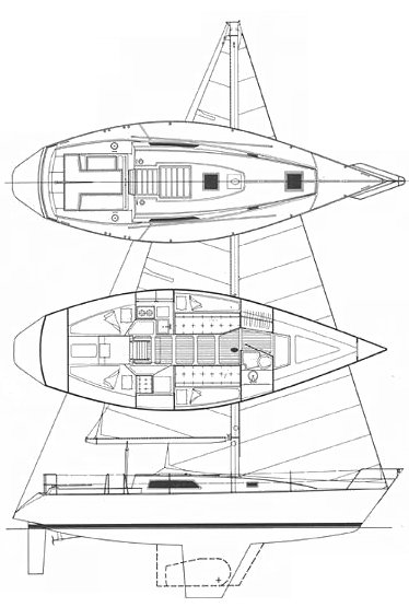 MORGAN 36-4/6 - Drawing