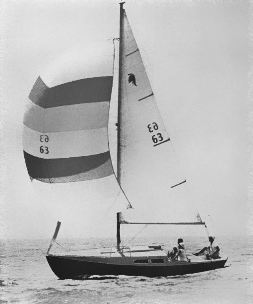 GLADIATOR 24 - Photo