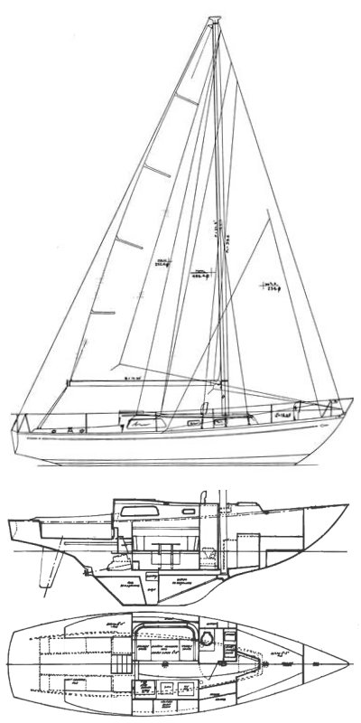 MEDALIST 33 MKII/III (LE COMTE) - Drawing