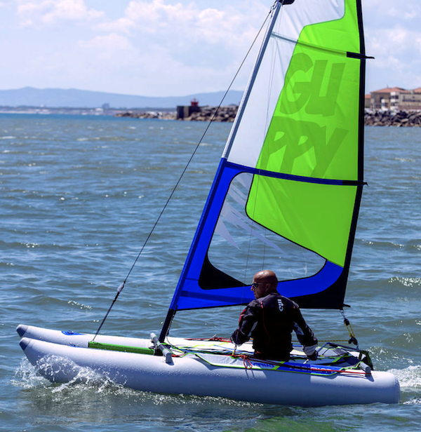 MINICAT GUPPY - Photo