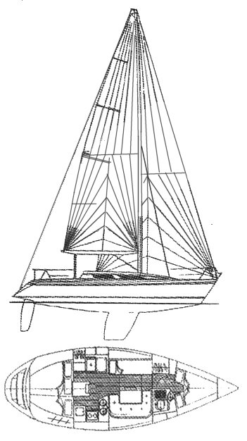 PANDORA 34 - Drawing