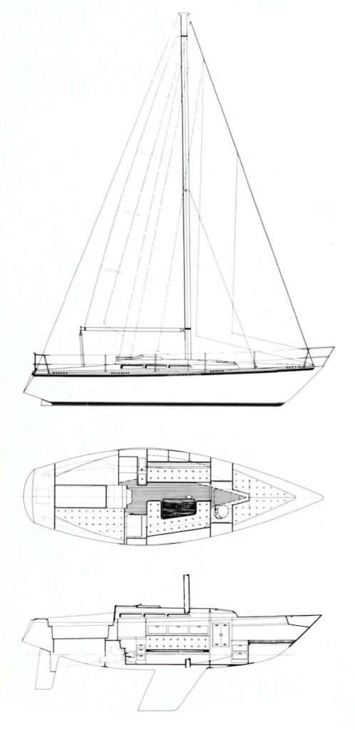 STANDFAST 30 - Drawing