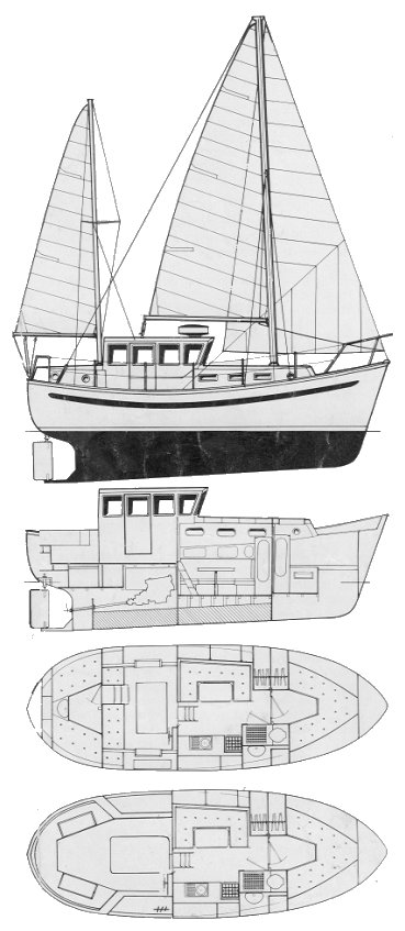 WATSON 31.5 (COLVIC)