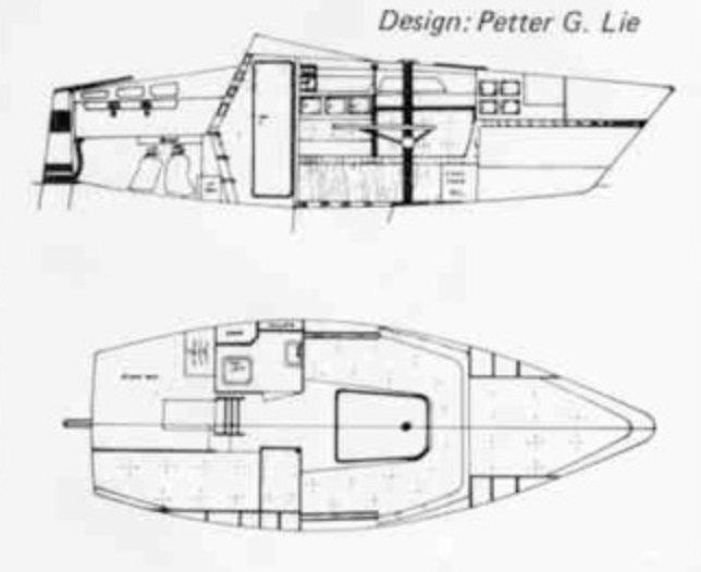 COLUMBIE 66 - Drawing