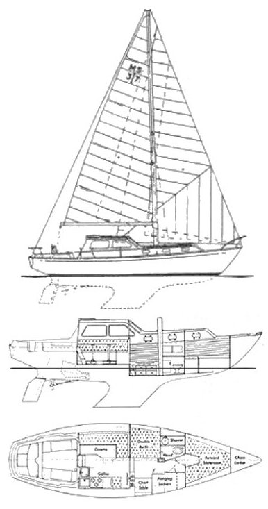 ISLANDER 37 MS - Drawing