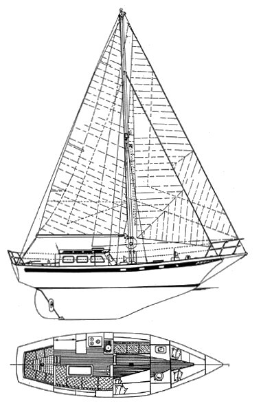 ENDURANCE 37 - Drawing