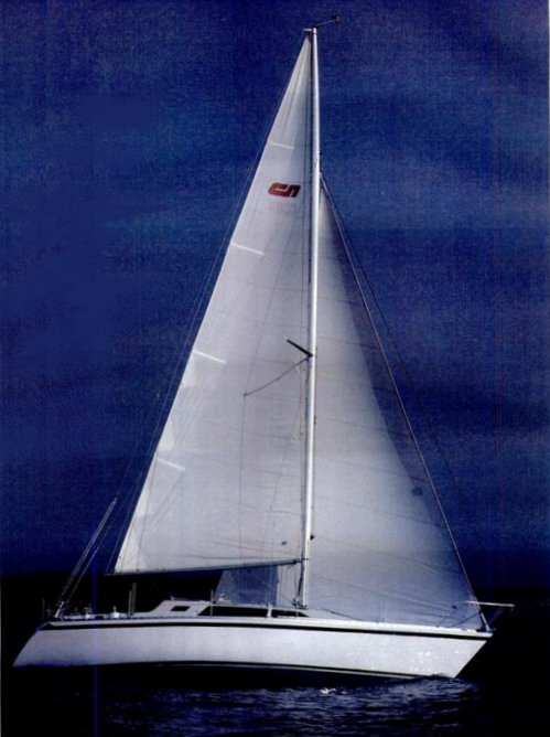 NICHOLSON 345 - Photo