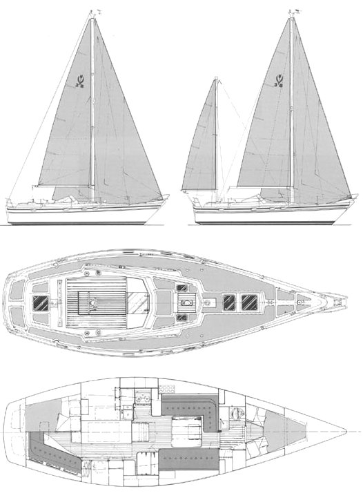 CONTEST 38S - Drawing