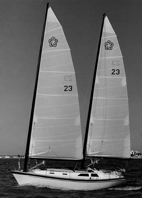 FREEDOM 39 - Photo